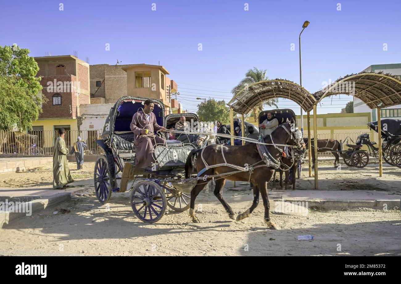 Pferdekutschen für Touristen am Tempel Edfu, Ägypten Stock Photo