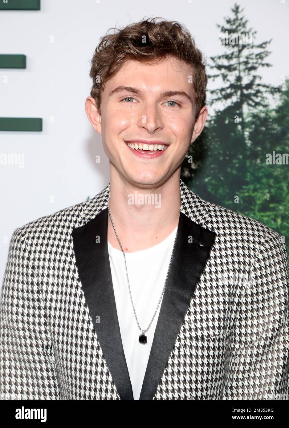 Dog gone johnny berchtold hi-res stock photography and images - Alamy