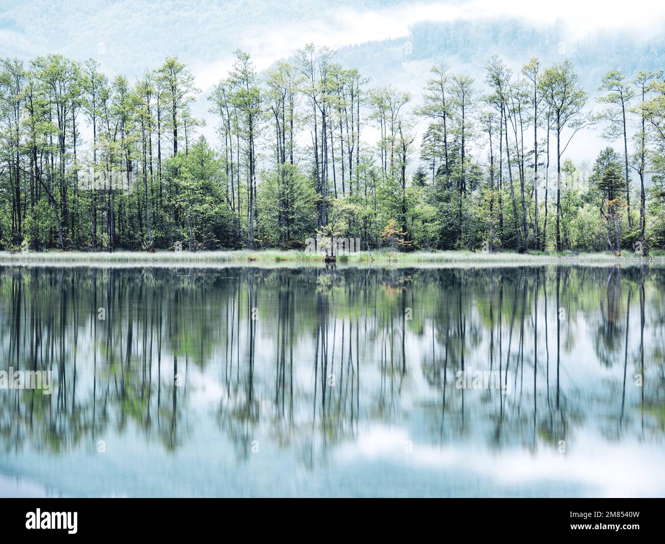 A beautiful shot of lake Alm reflecting the environment near the village Grunau im Almtal Stock Photo
