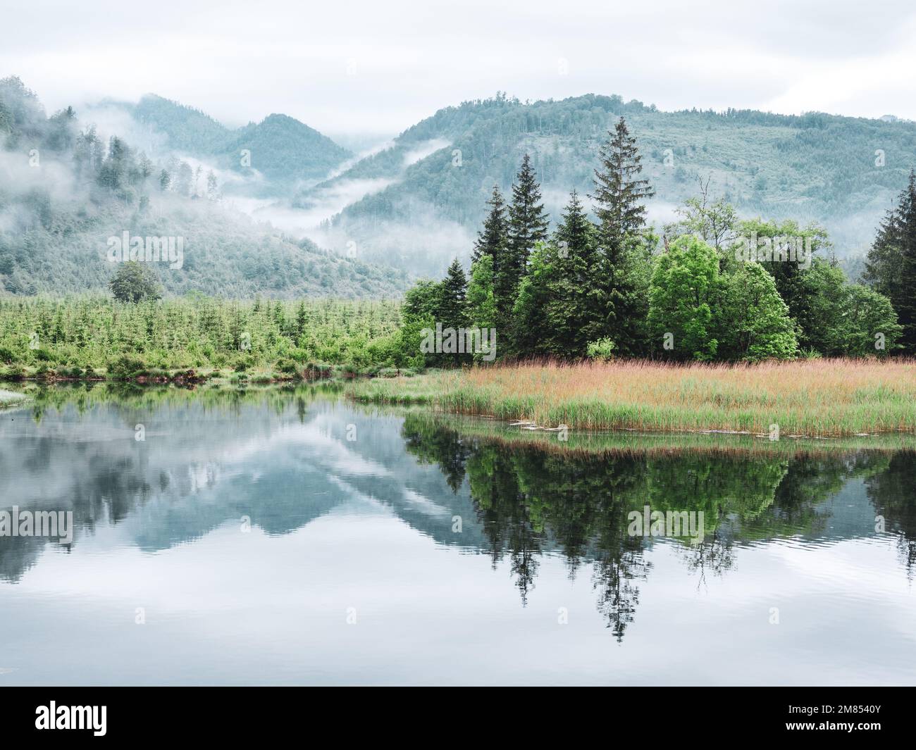 A beautiful shot of lake Alm reflecting the environment near the village Grunau Im Almtal Stock Photo