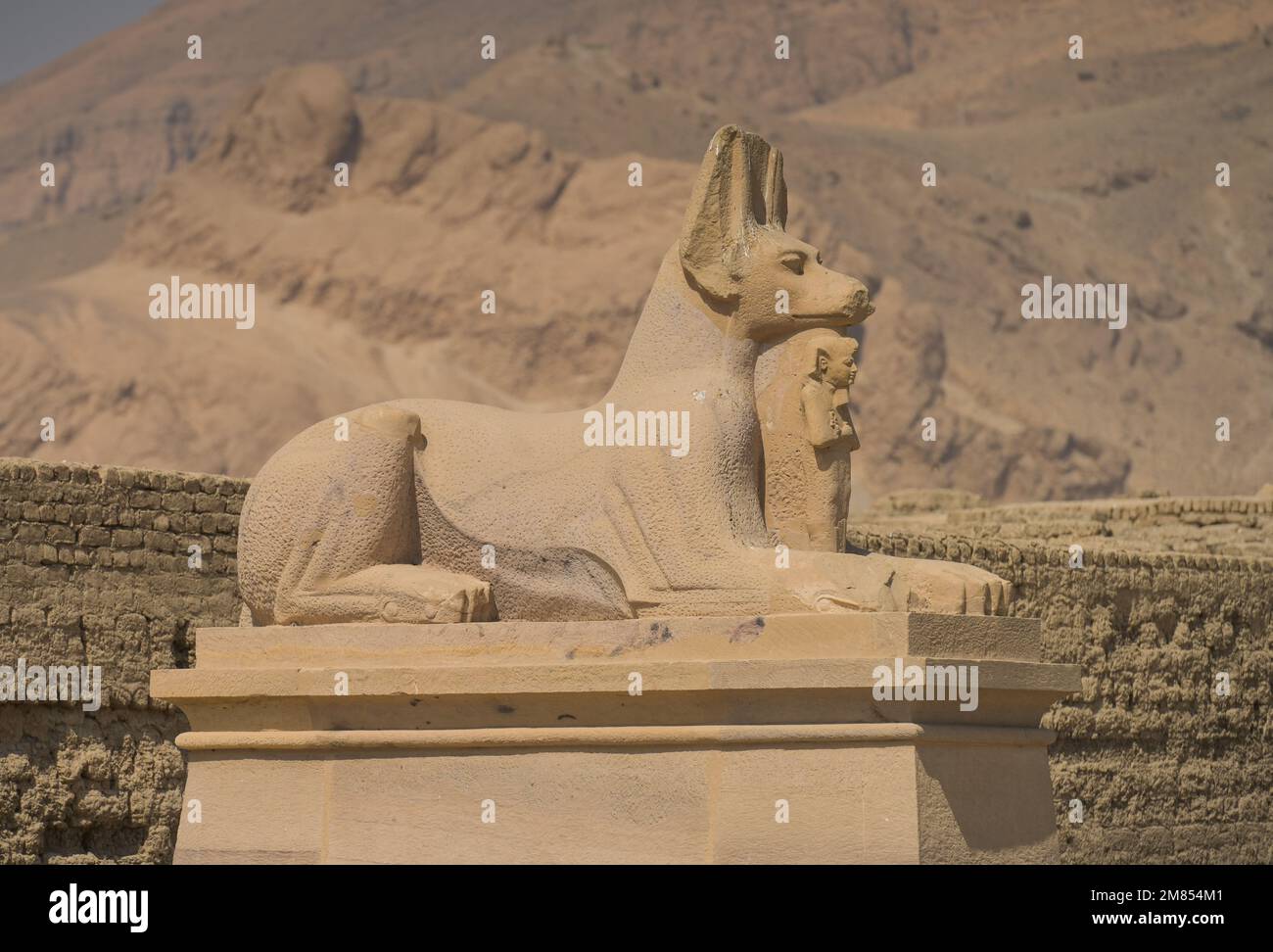 Skulptur Totengott Anubis Ramesseum Theben West gypten Stock Photo skulptur-totengott-anubis-ramesseum-theben-west-gypten-stock-photo