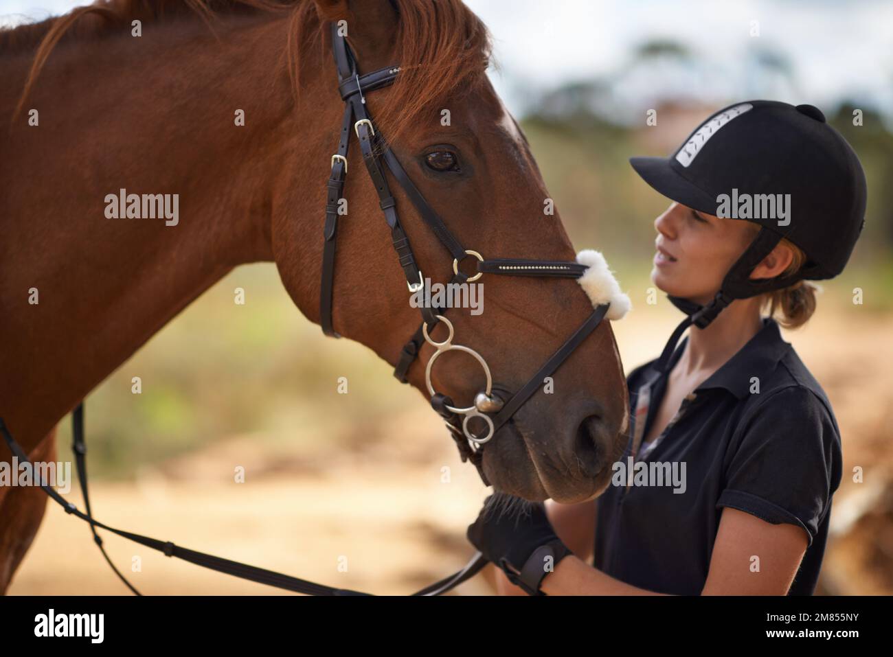 There is a bond between horse and rider. A young female rider being affectionate with her chestnut horse. Stock Photo