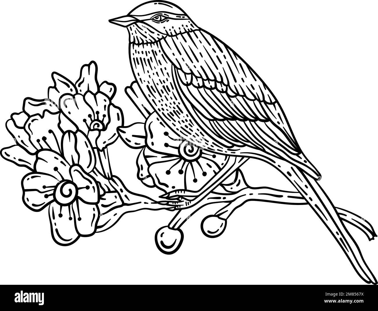 Bird Branch Spring Coloring Page for Adults Stock Vector