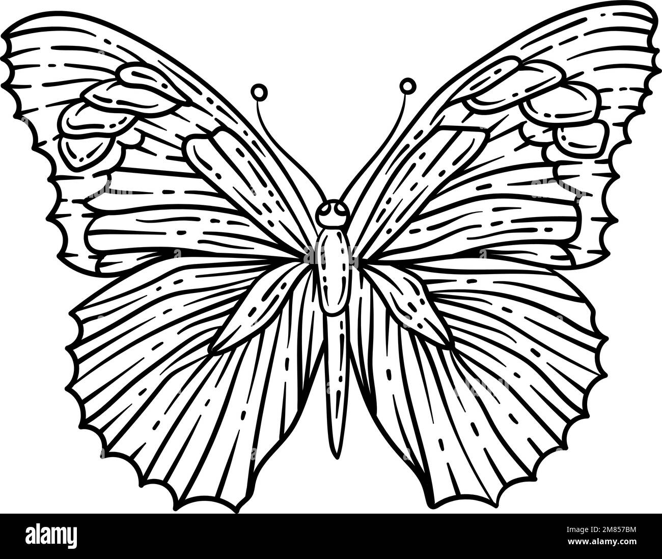 Butterfly Spring Coloring Page For Adults Stock Vector Image Art Alamy butterfly-spring-coloring-page-for-adults-stock-vector-image-art-alamy