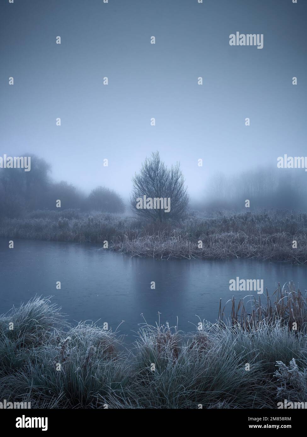 Winter’s arrival in the UK, with the cold snap and mist turning the familiar lakeside woodland landscape into a dream-like, liminal space. Stock Photo