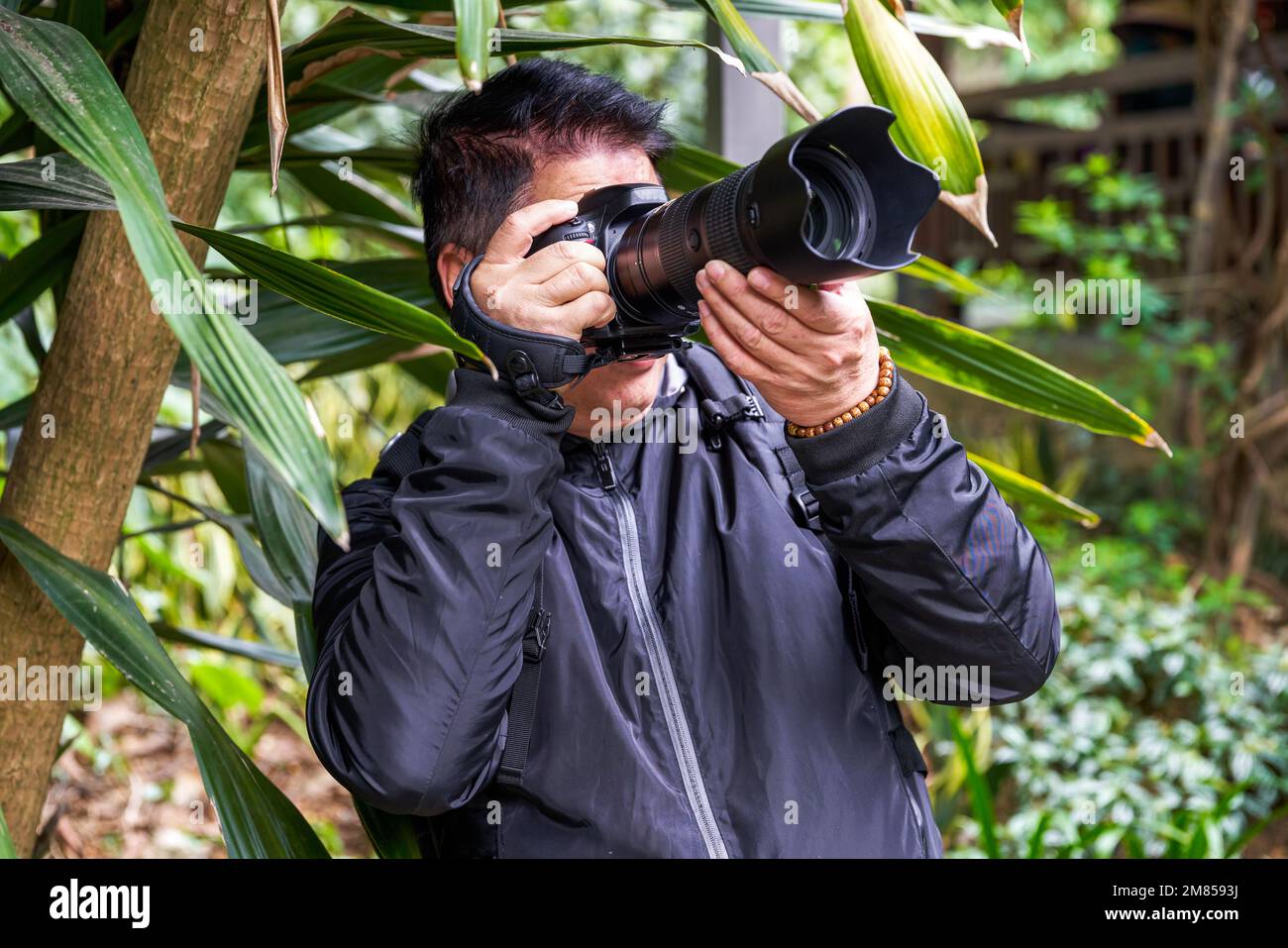 A photographer is using a SLR camera to create a shot Stock Photo