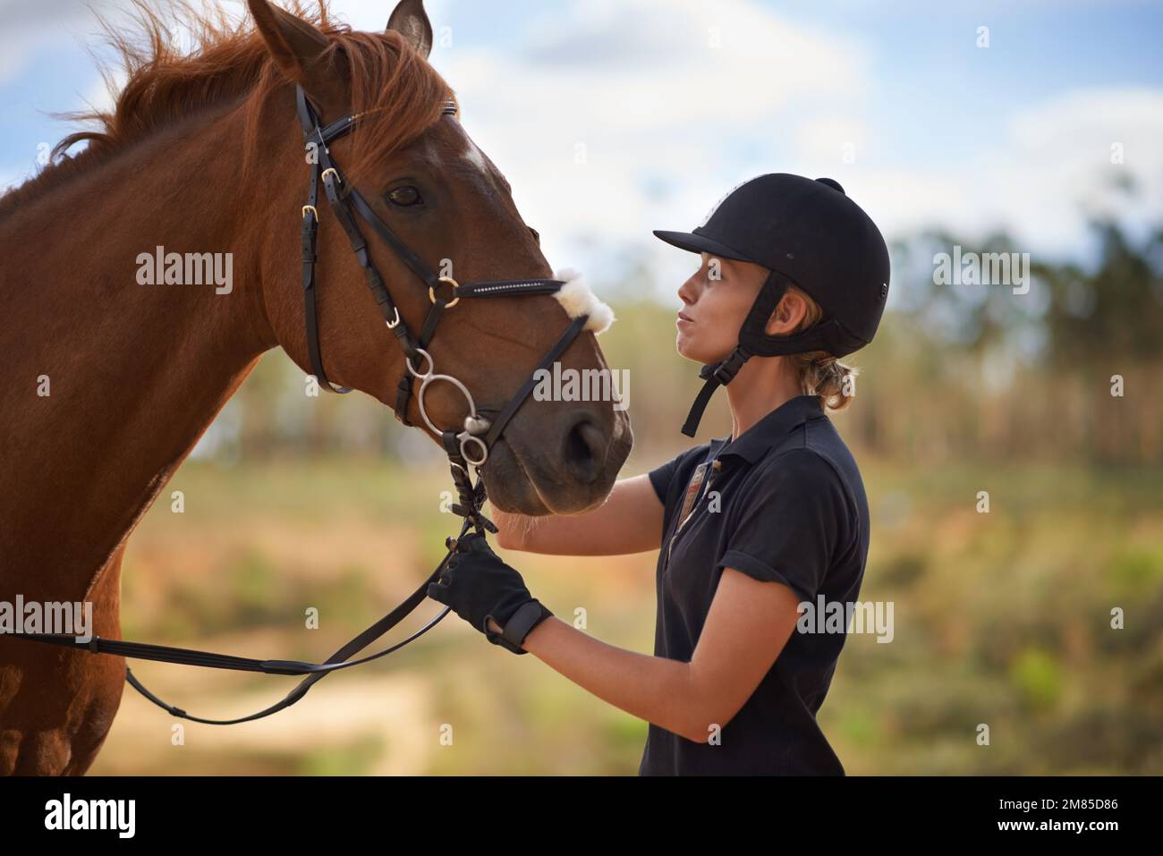 There is a bond between horse and rider. A young female rider being affectionate with her chestnut horse. Stock Photo