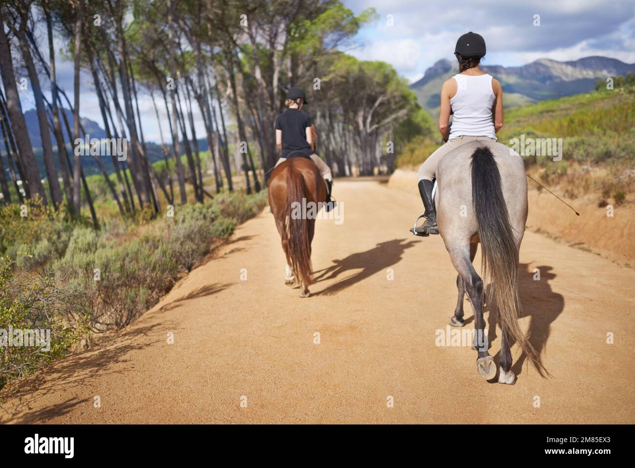 Taking an easy trot. Rear-view of two female riders on horseback trotting down a countryside path. Stock Photo