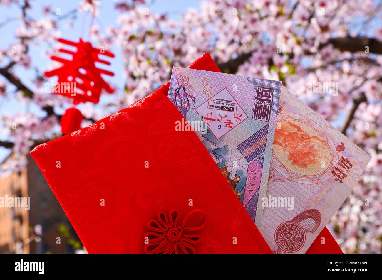 Chinese money and flowers. Banknotes in a red purse, traditions of the ...