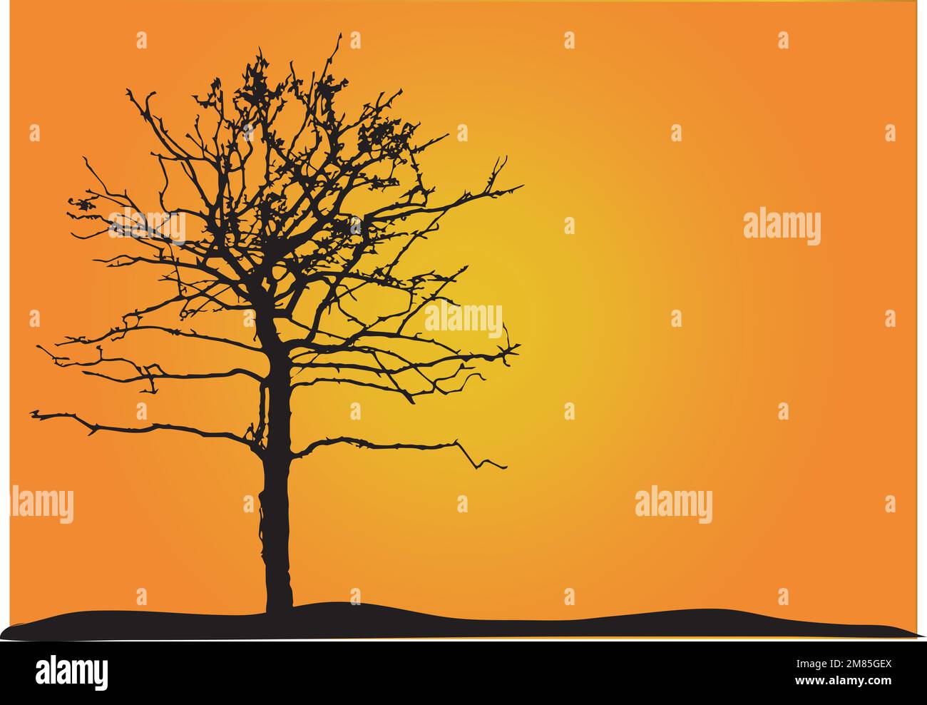 Collection of tree,trees isolated on white background Stock Vector ...