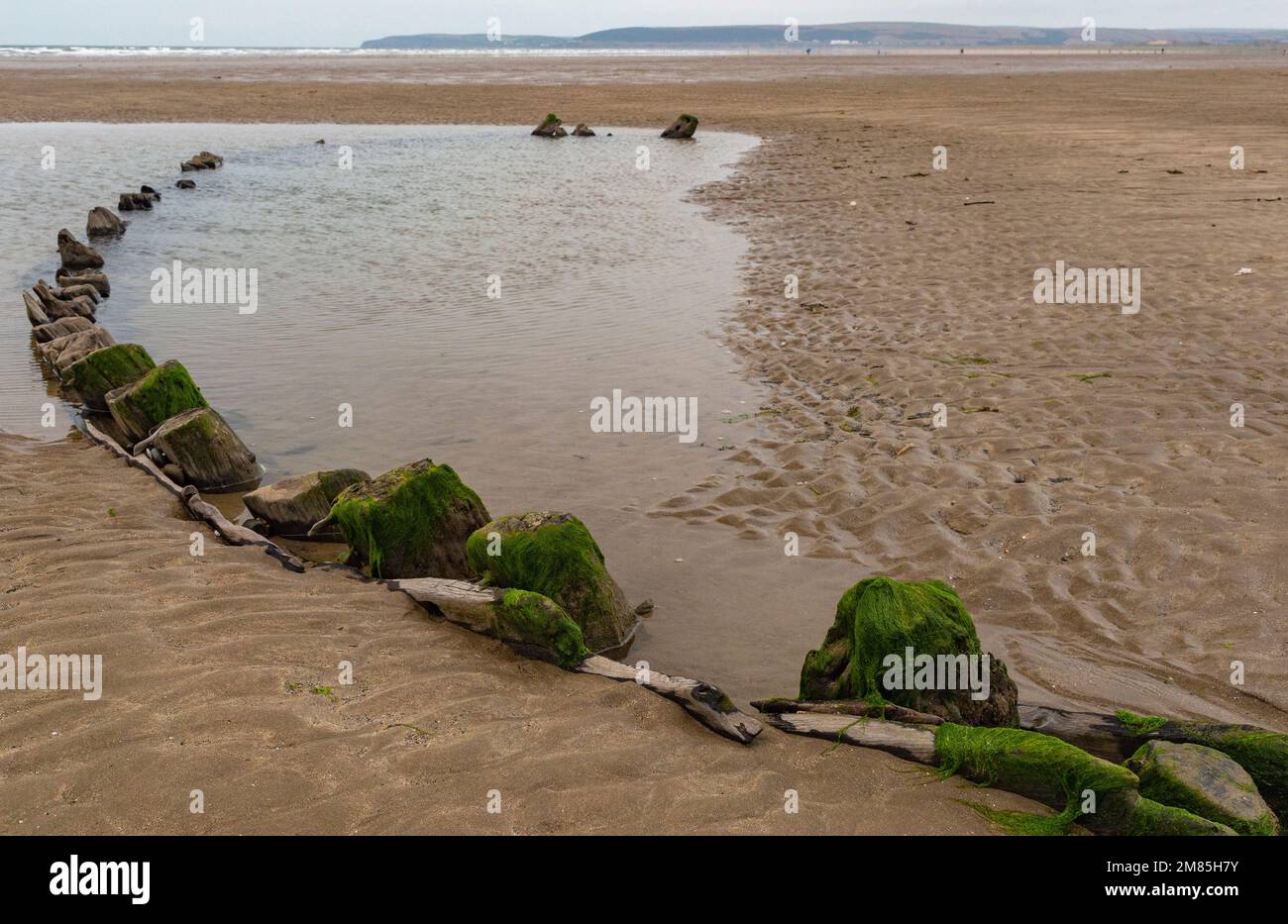 Detail of Scattered, Rotting Timbers From the Hull of an 18th Century ...