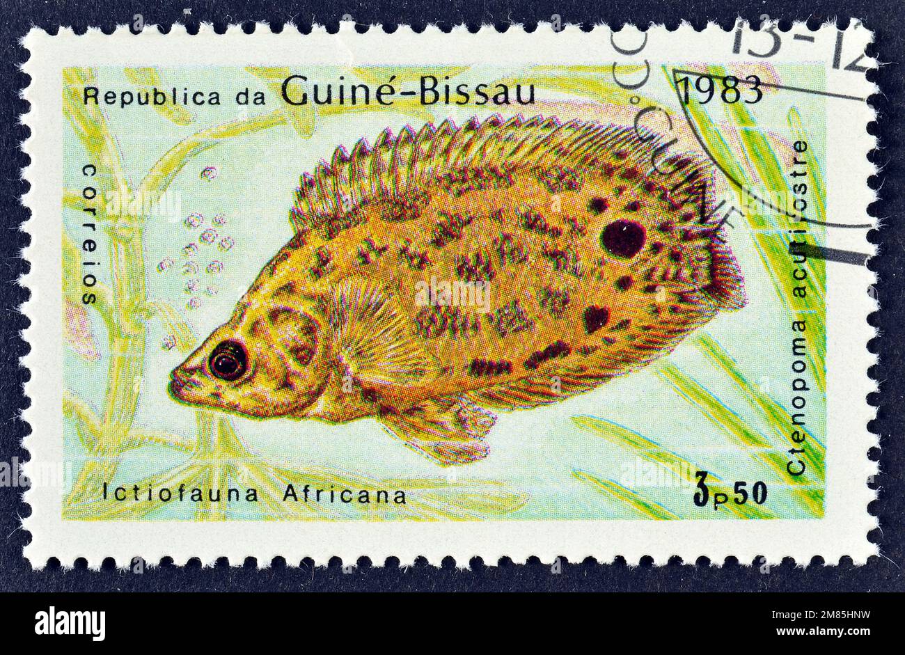 Cancelled postage stamp printed by Guinea Bissau, that shows Spotted Ctenopoma (Ctenopoma acutirostre), circa 1983. Stock Photo