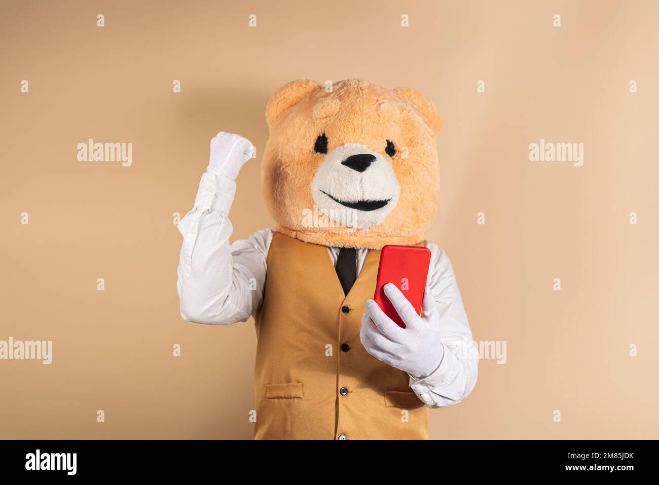 Person wearing a teddy bear mask on a yellow background raises her arm in  victory symbol while consulting her smartphone Stock Photo - Alamy
