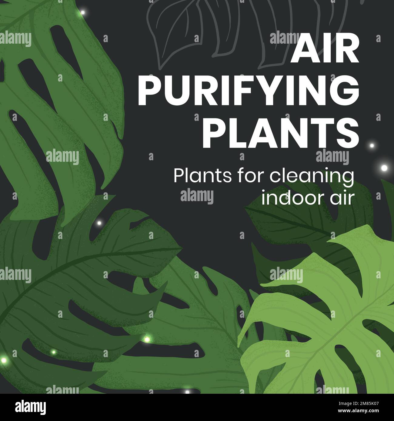 Houseplant social media template vector with air purifying plants text