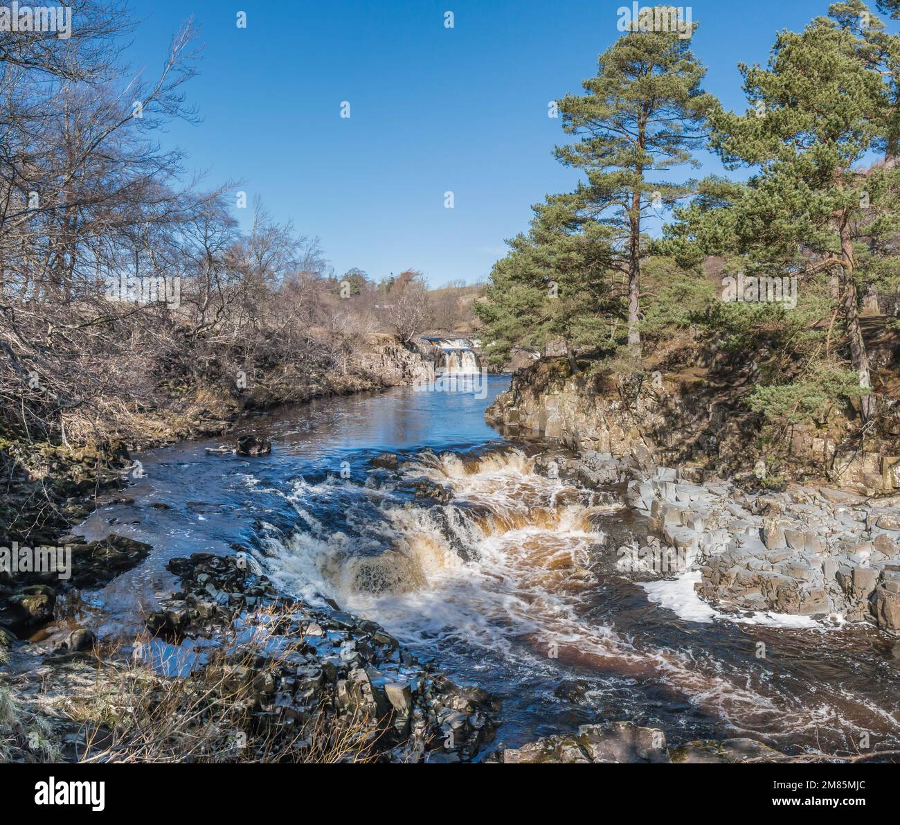 Low Force Waterfall, Teesdale, taken from the Pennine Way at Wynch Bridge in very strong early spring sunshine Stock Photo