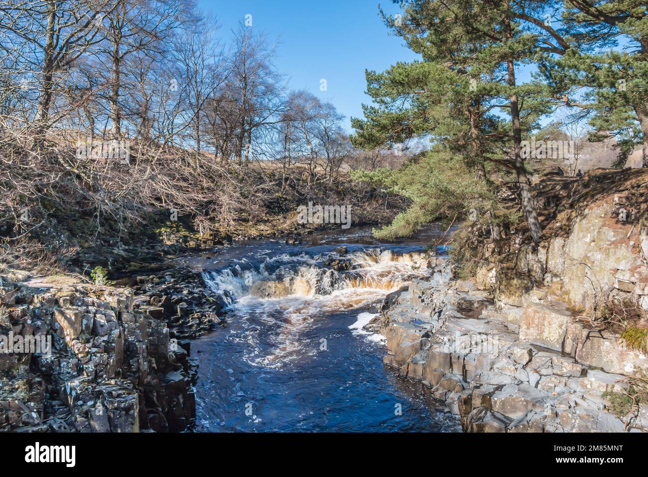 The River Tees tumbles over this cascade just below the main Low Force Waterfall. Stock Photo