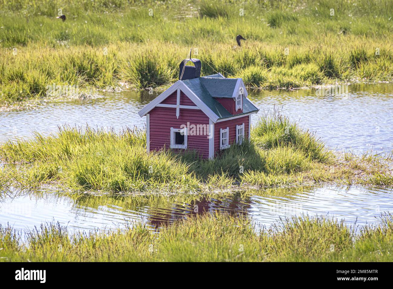 Duck house on the lake, Sortland, Vesteralen, Nordland, Norway Stock Photo