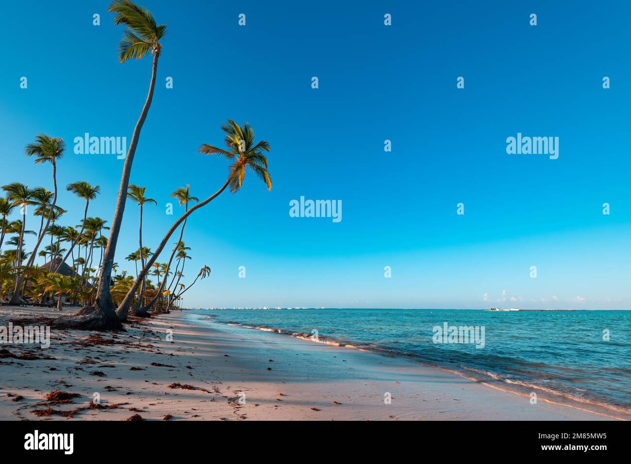 Bavaro Beach in Punta Cana at the Dominican Republic Stock Photo