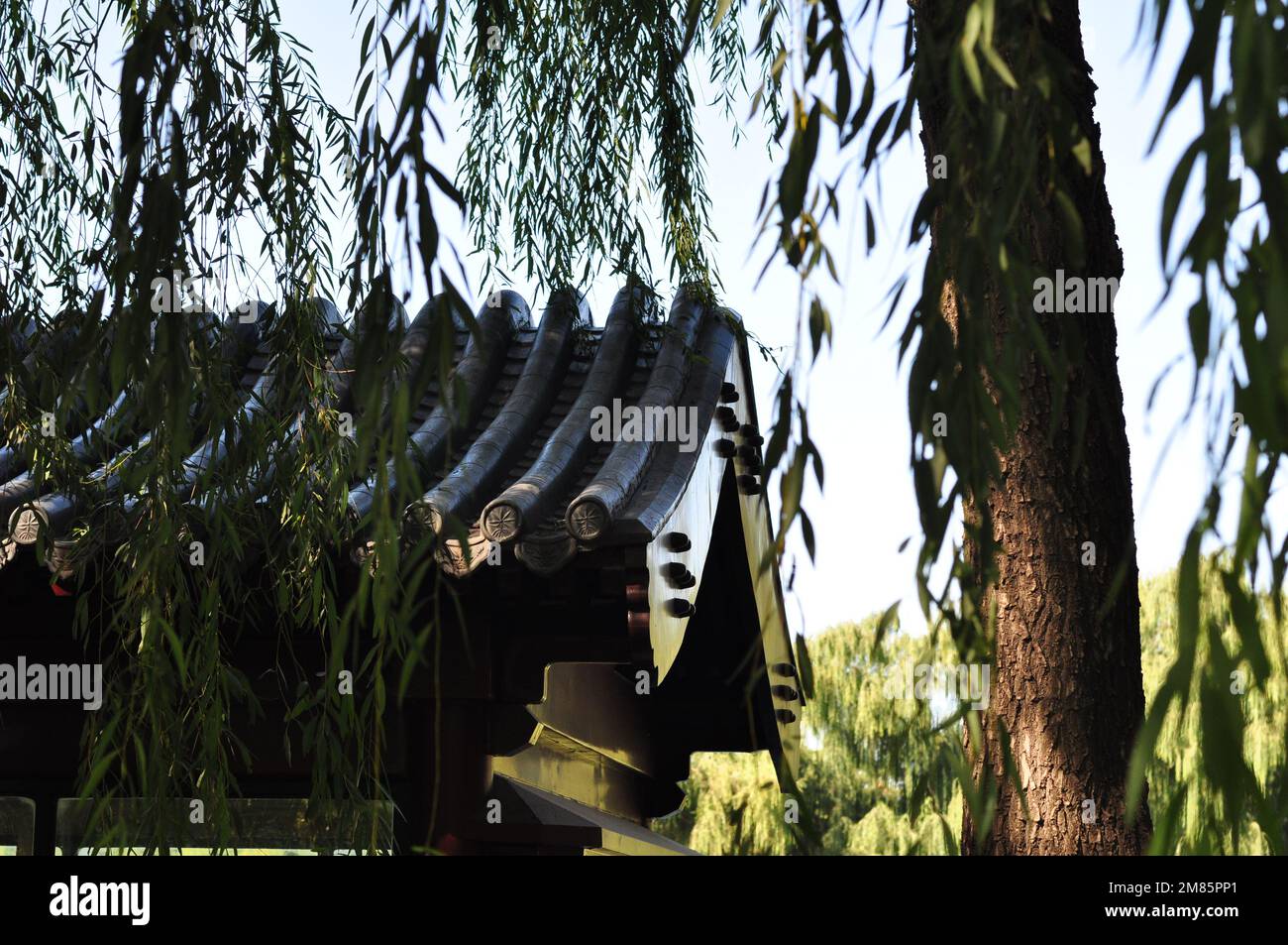 Summer stroll at Yuan Ming Yuan park, Old Summer Palace, Beijing, China Stock Photo