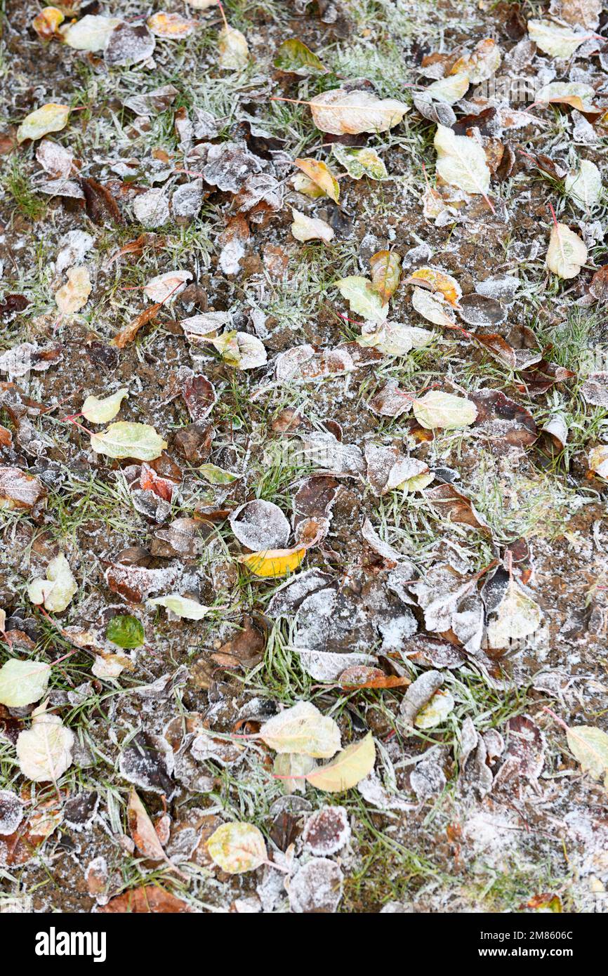 Ground hi res hi-res stock photography and images - Alamy