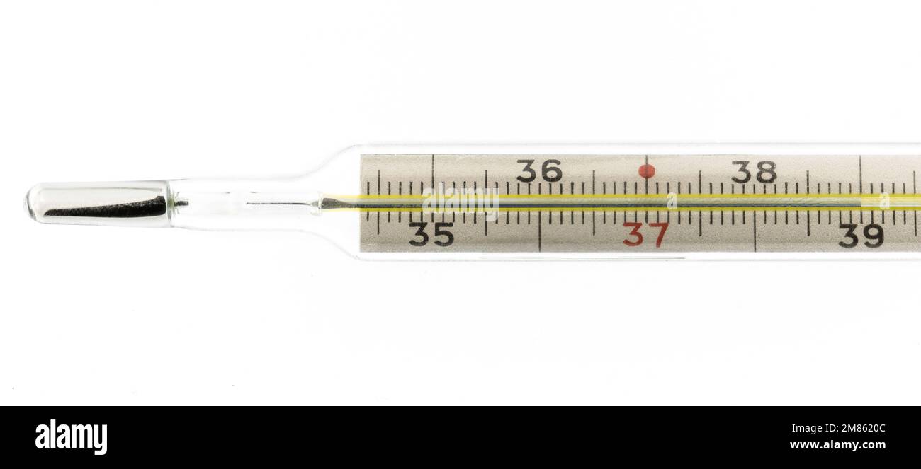 Mercury thermometer showing high temperature 39 isolated on a white background Stock Photo