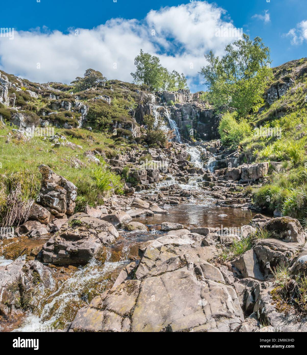 Blea Beck Force waterfall in Upper Teesdale on a fine early summer afternoon. Stock Photo