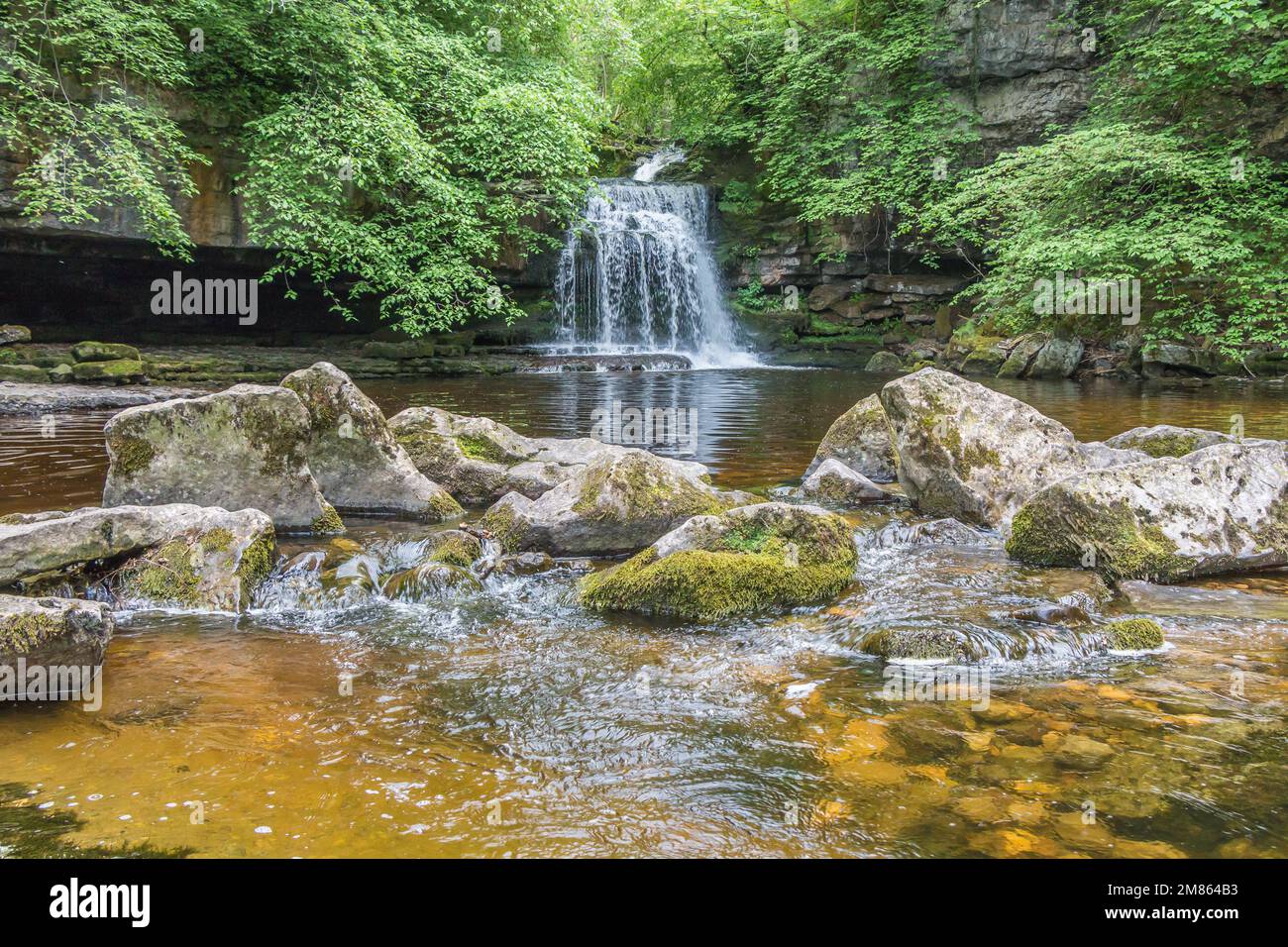 Cauldron Force waterfall on Walden Beck at West Burton, Wensleydale, Yorkshire Dales in spring. Stock Photo