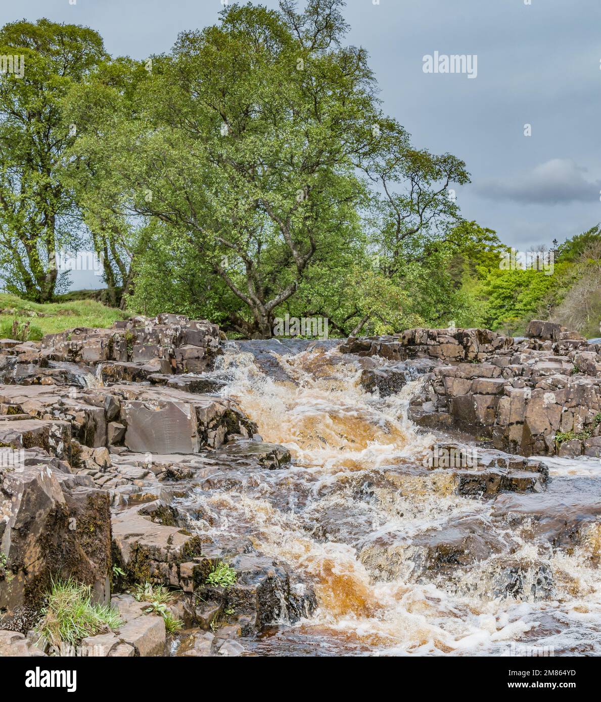 A cascade on the River Tees just above Low Force waterfall sparkling in spring sunshine. Taken from the Pennine Way long distance footopath. Stock Photo