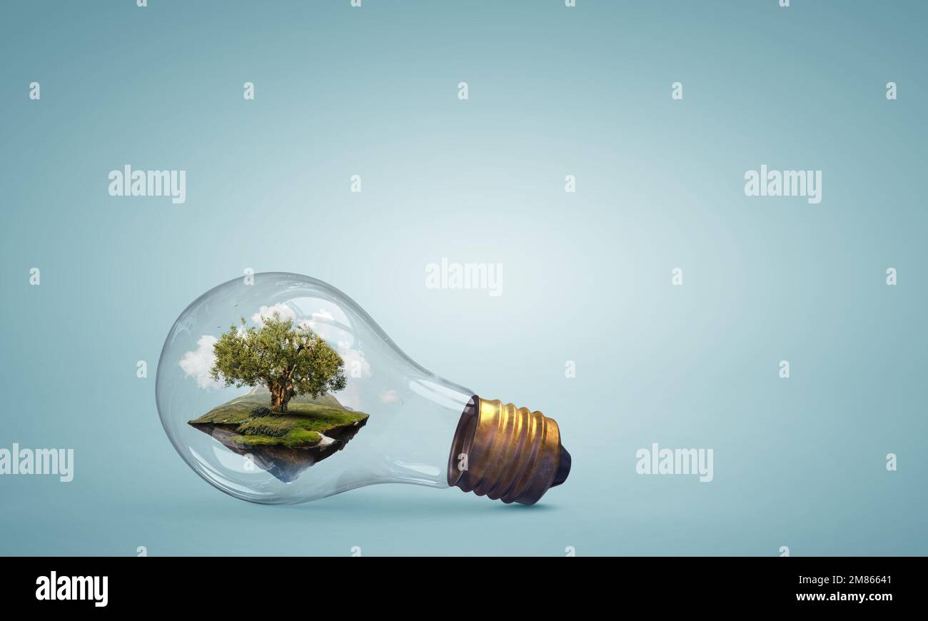 Tree growing inside light bulb Stock Photo - Alamy
