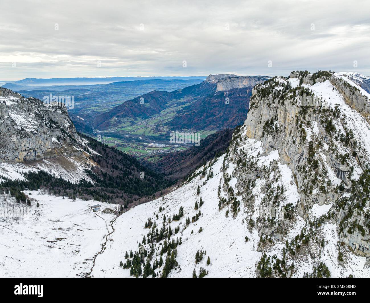 Aerial view of snow capped mountains surrounded with pine trees under ...
