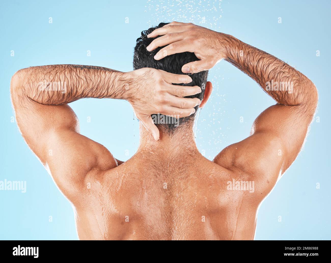 Water splash, man back and hair care shower for body hygiene, skincare grooming or cleaning care in blue background studio. Model, self care water Stock Photo