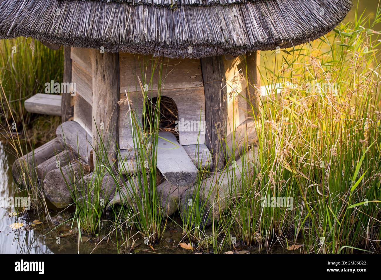 Wooden birdhouse on the water, roof made of straw. Stock Photo