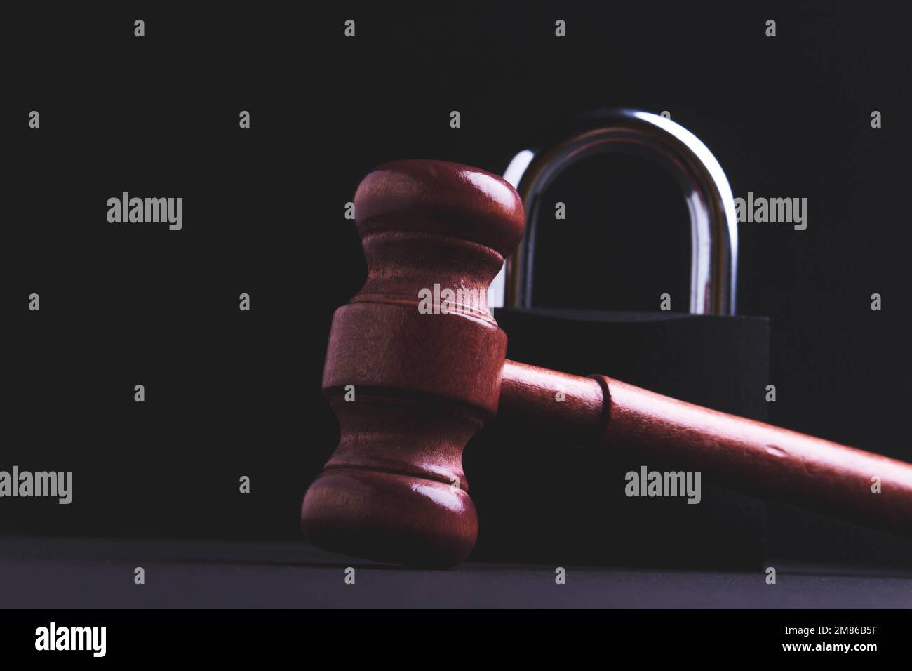 Seizure of property. Prohibition of registration. Bailiffs. Arrest in