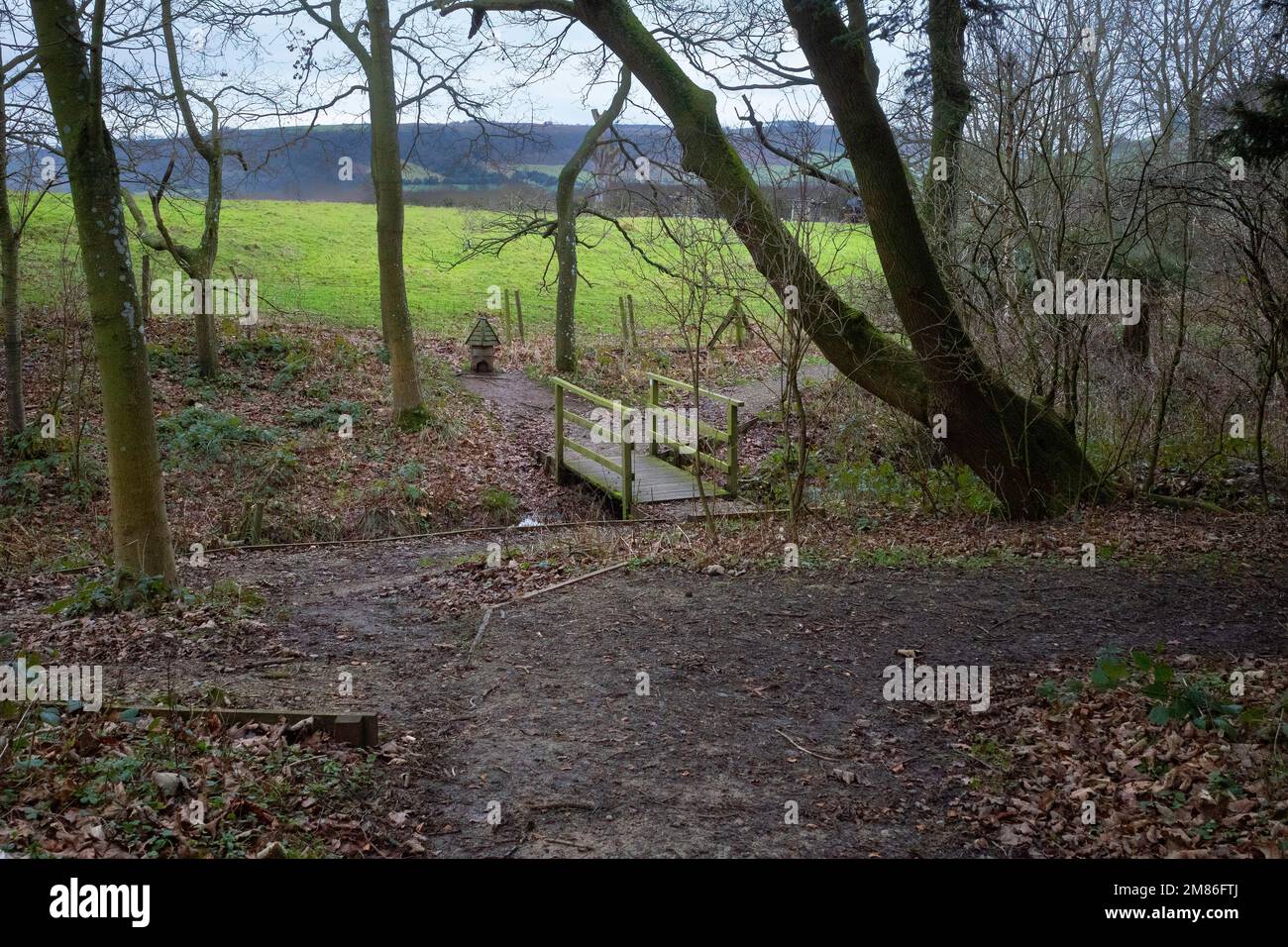 Footpaths in Crow Wood Danby in The North Yorkshire  Moors National Park Stock Photo