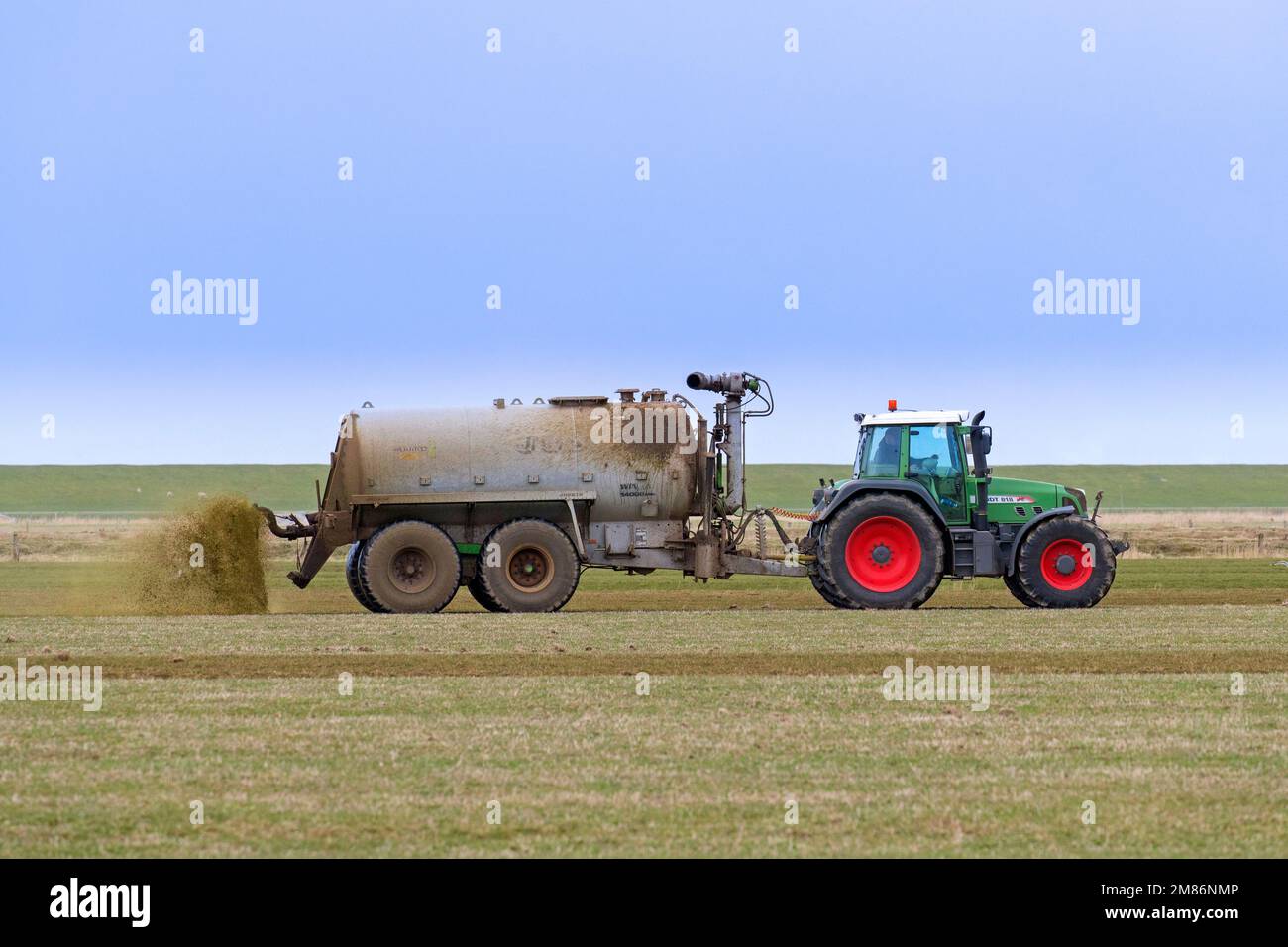 Farmer in Fendt 818 tractor with muck spreader distributing / spreading