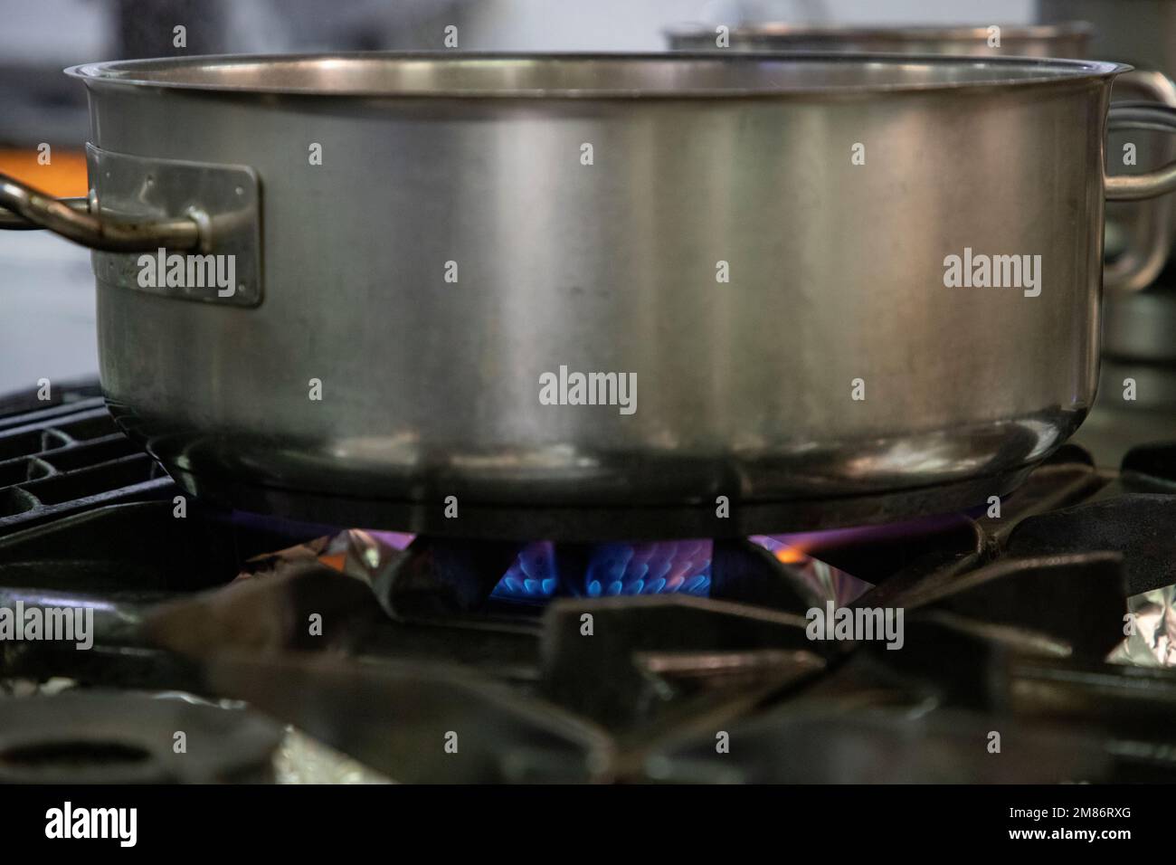 Stoves. Kitchen room. Gas stove with burning propane gas flames