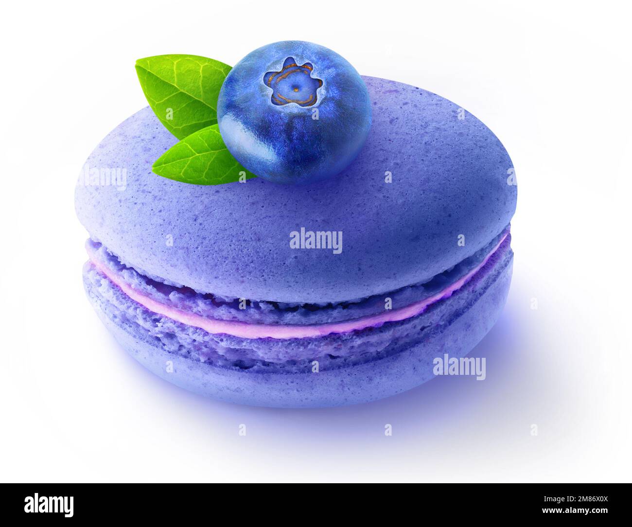 Blueberry on top of macaroon cookie isolated on white background Stock Photo