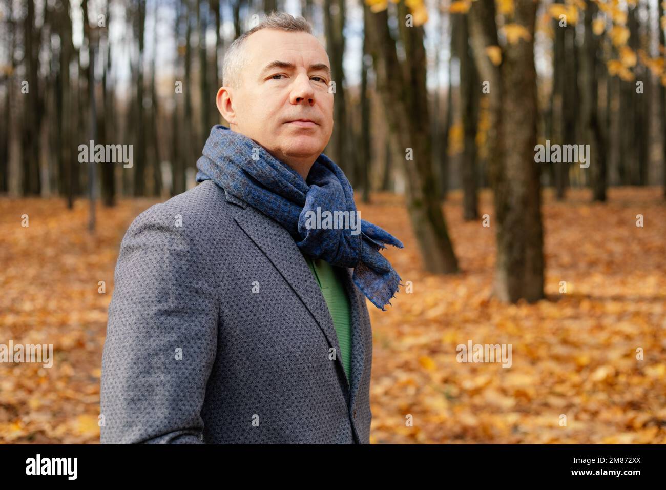 Confident, derisive, tranquil, trendy grizzled modern man in jacket and scarf stand in golden park and look at camera Stock Photo