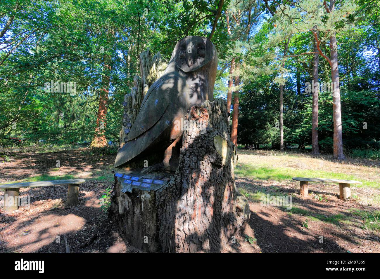 The Tree of Life sculpture, Sandy Heath nature reserve, Sandy town, Bedfordshire, England Stock Photo