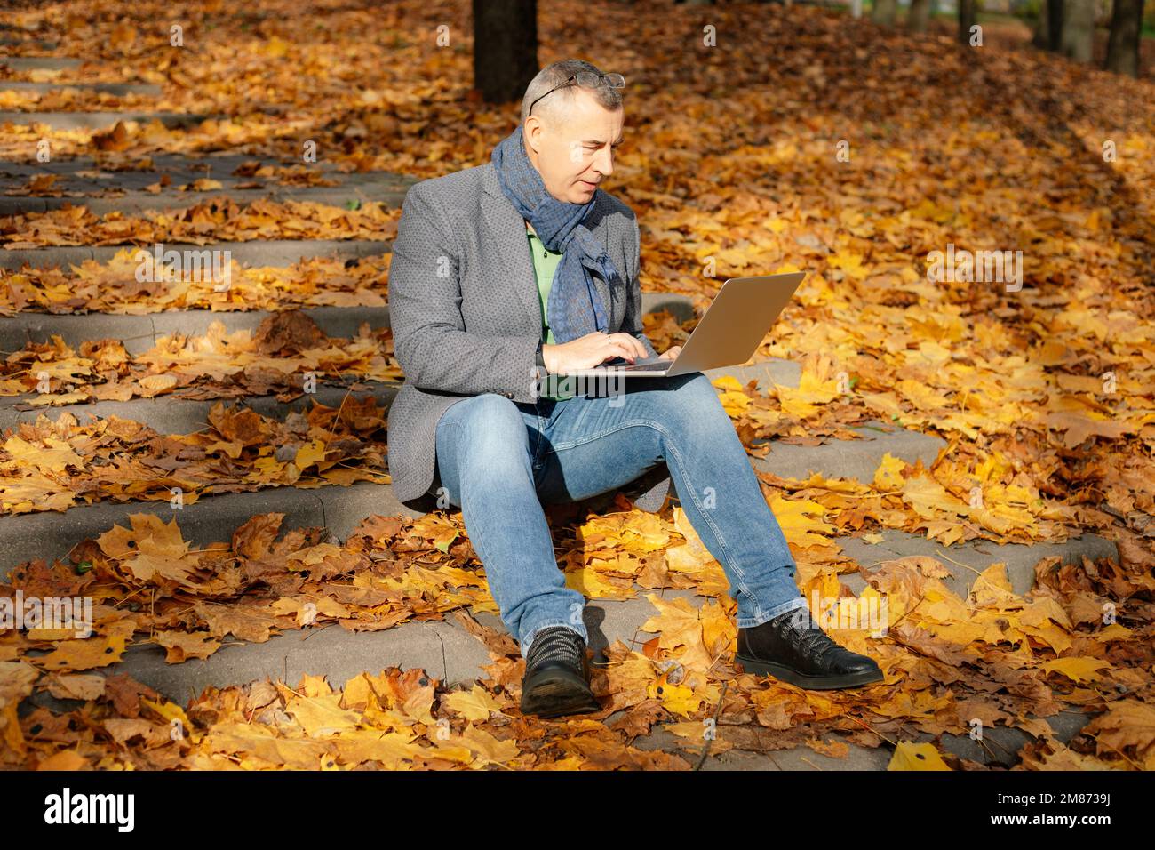 Grizzled businessman use laptop, sit on steps in gold forest park. Online freelance work and occupation, web conference Stock Photo