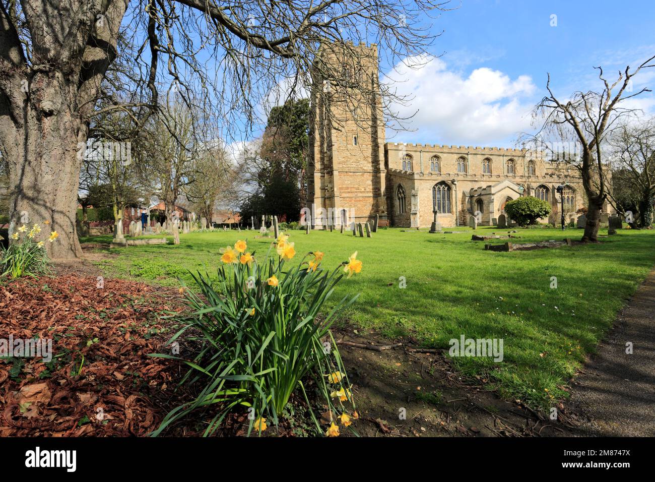 St Marys parish Church, Eaton Socon village, Cambridgeshire, England