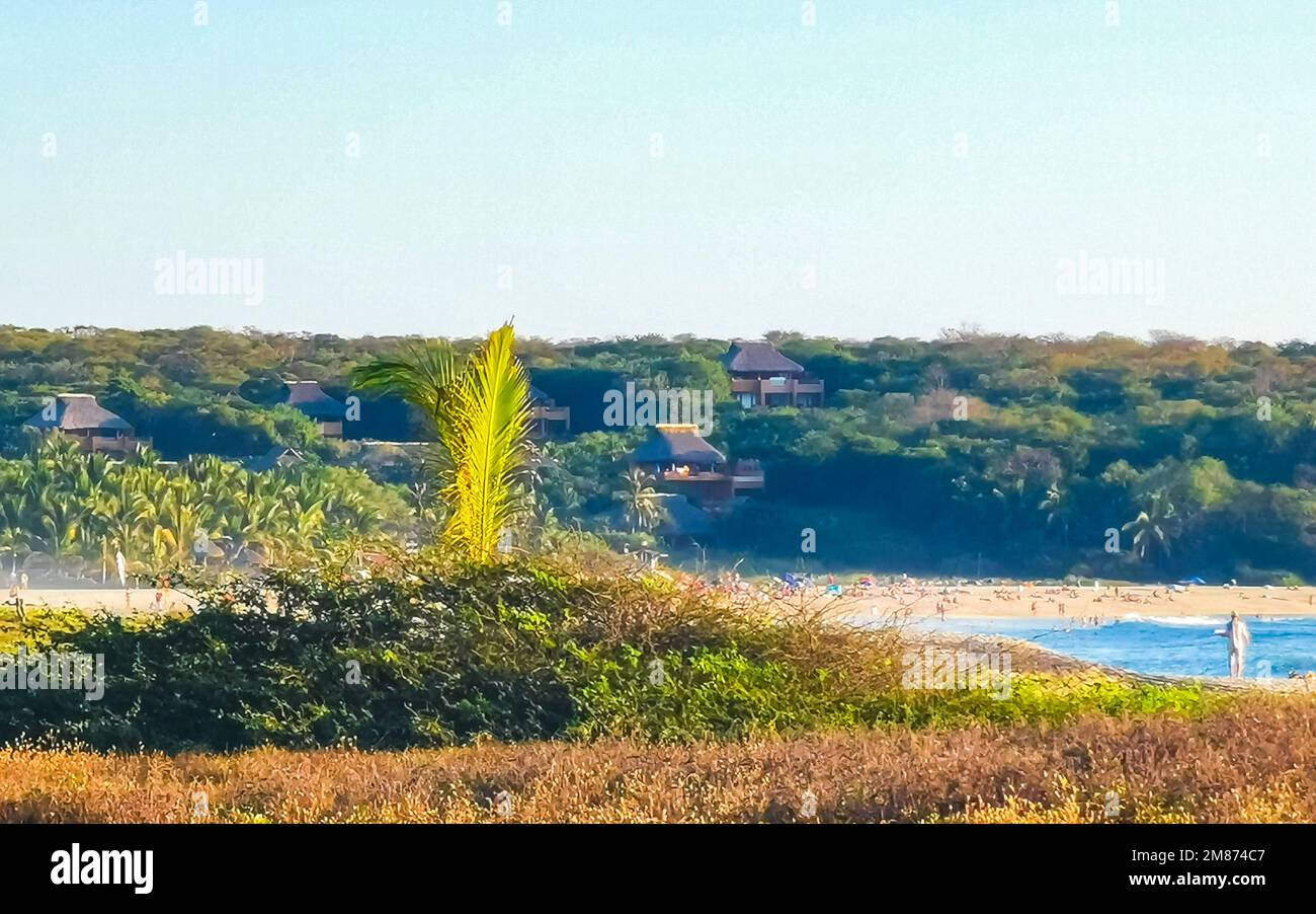nature cliffs rocks meadow beach waves and palm trees in La Punta ...