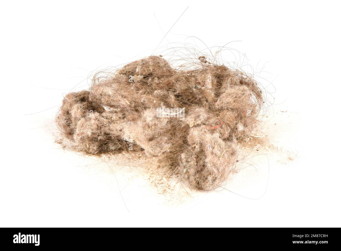 Vacuum cleaner dust isolated on white background. High resolution photo