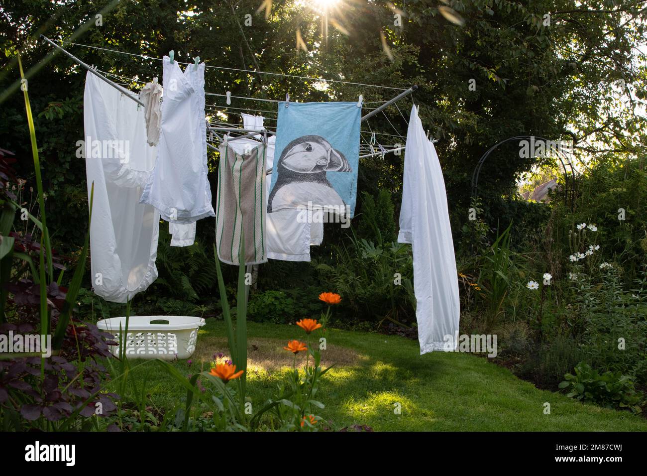 Clothes drying on rope with clothespins in garden · Free Stock Photo