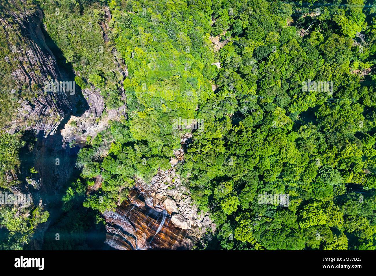 An aerial view of forest in the mountains Stock Photo - Alamy