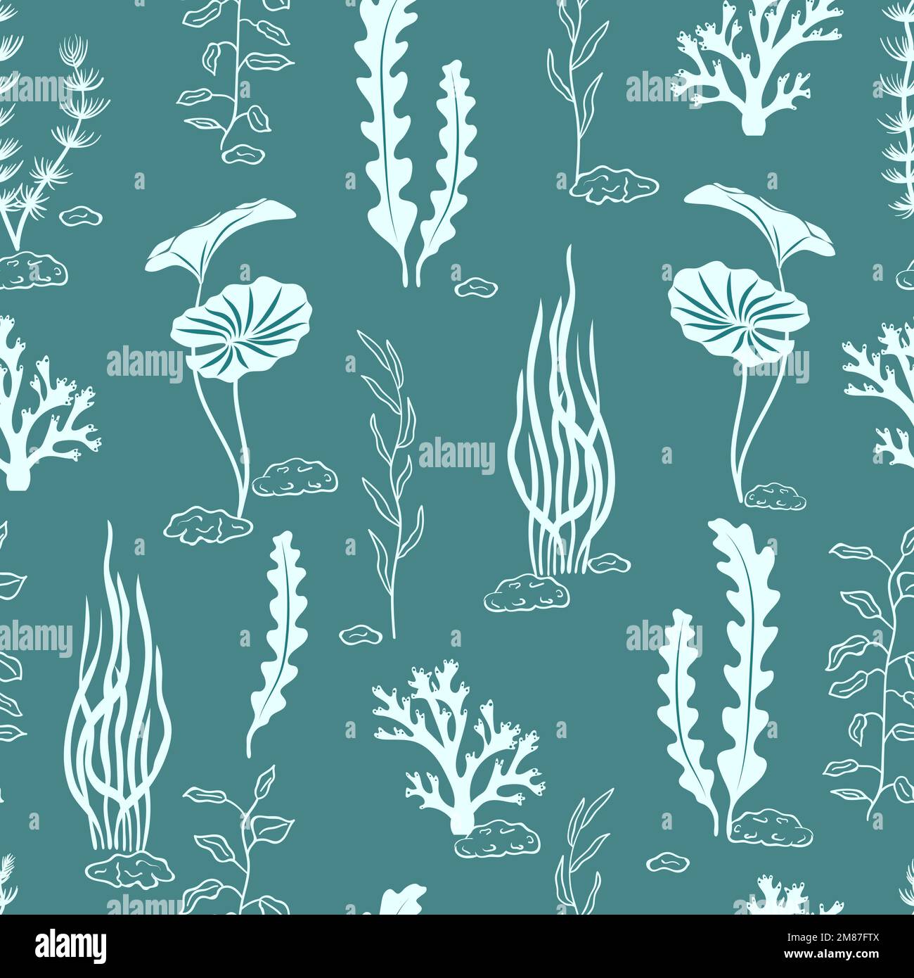 Algae vector vectors hi-res stock photography and images - Alamy