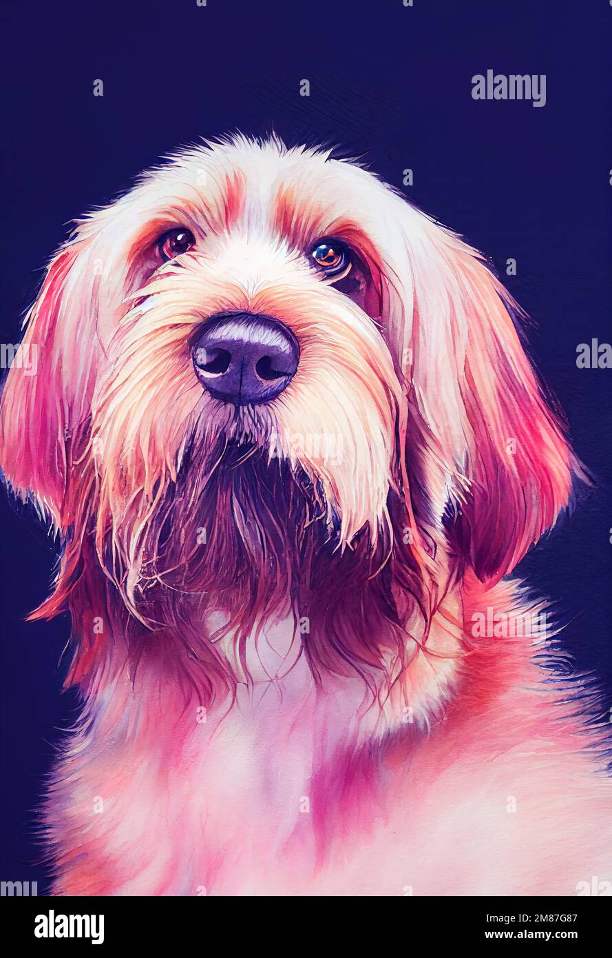Otterhound puppy hires stock photography and images Alamy