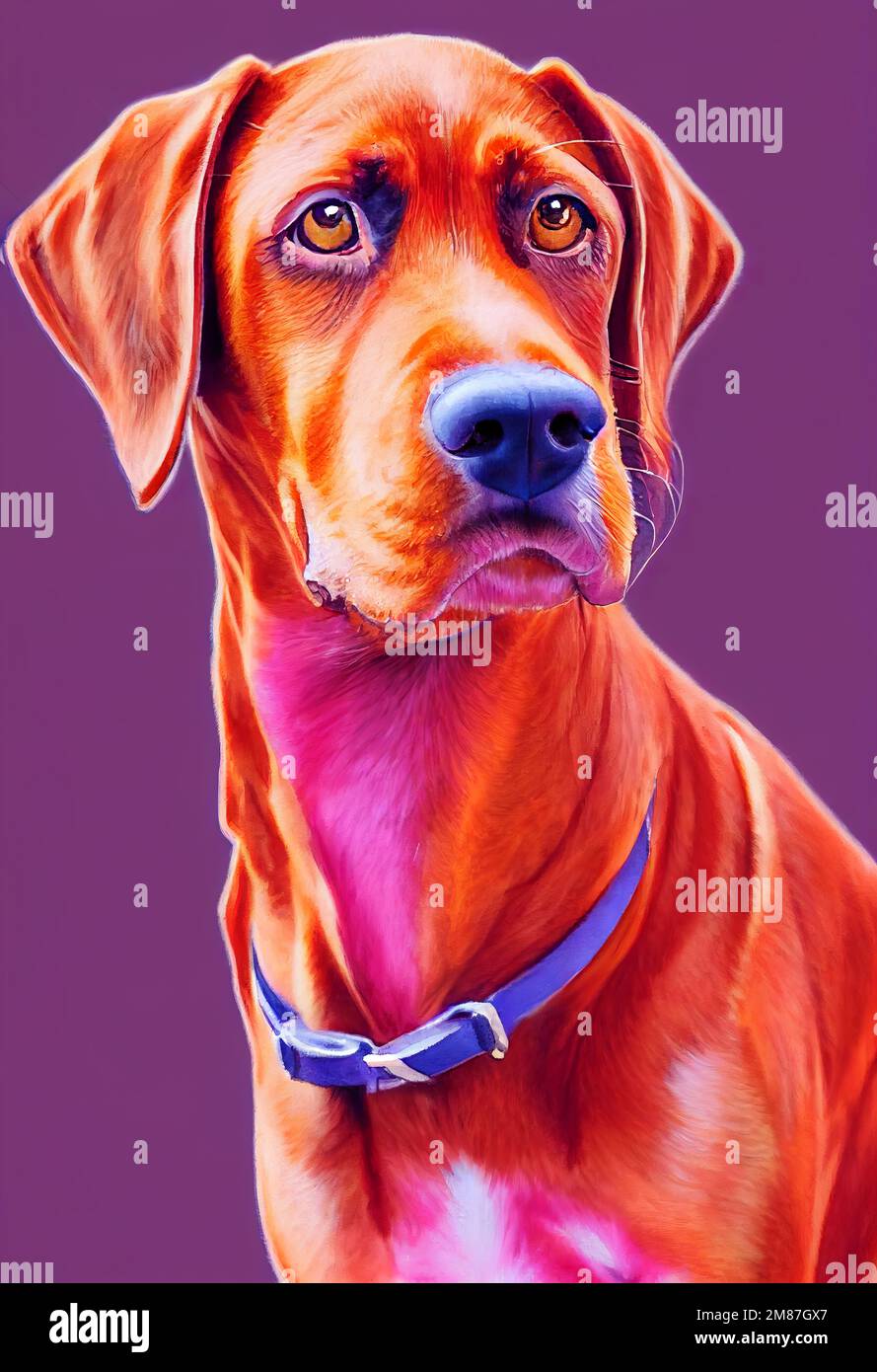 Funny adorable portrait headshot of cute doggy. Redbone Coonhound dog