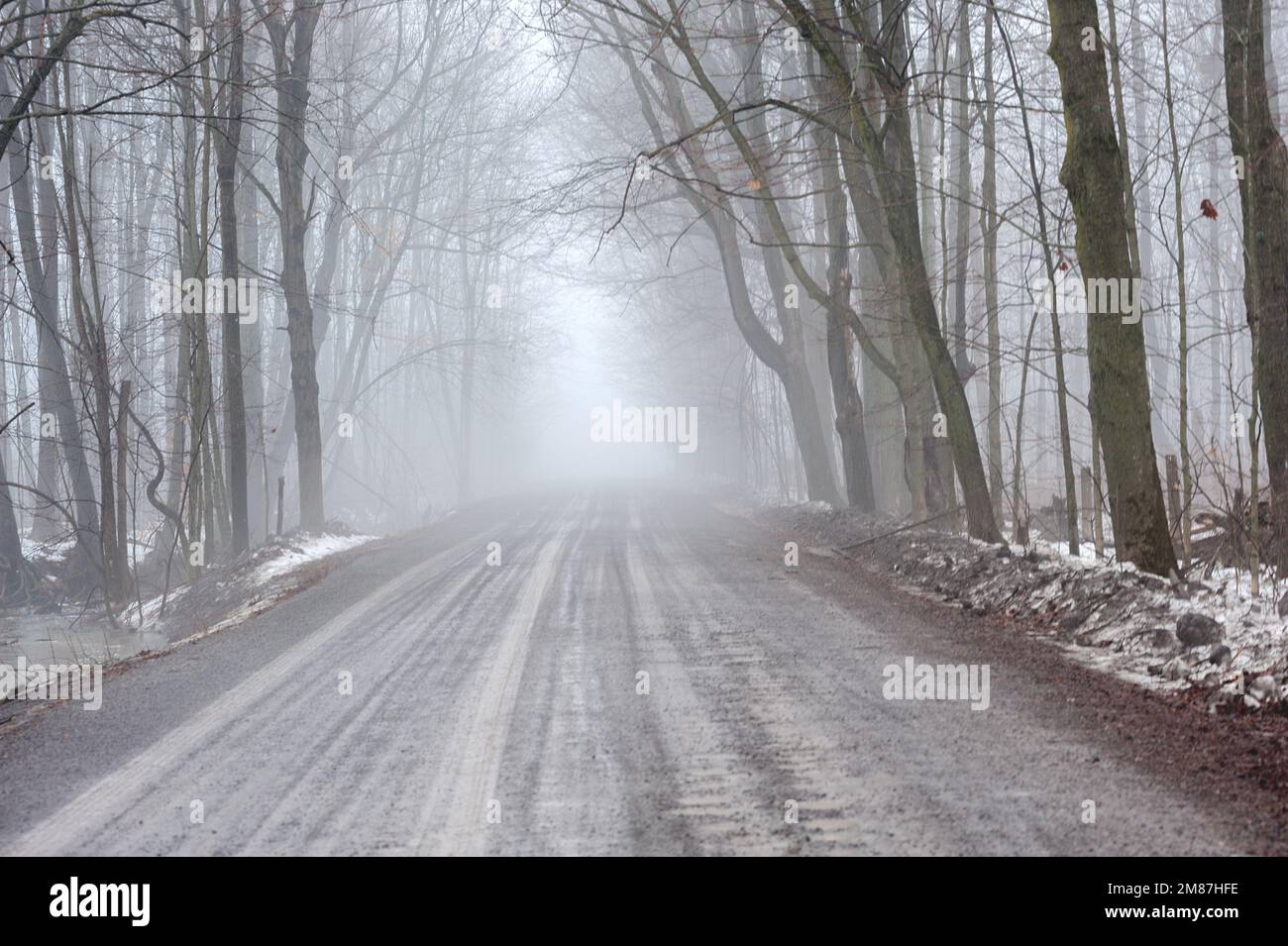 Country Road disappears into the fog. Stock Photo