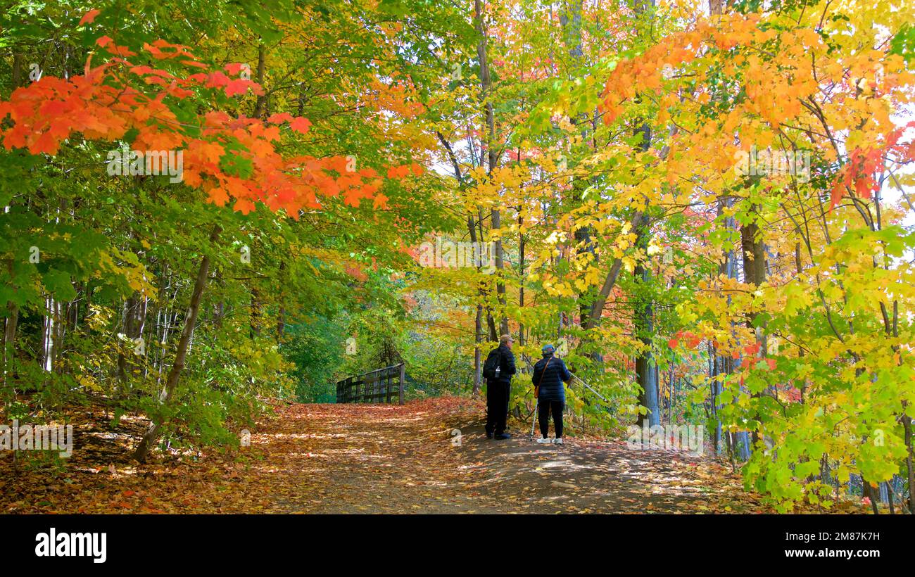 A couple walking in the public park with walking trekking poles in autumn Stock Photo